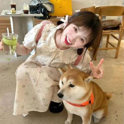 驴子当家